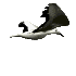 birdtran.gif (3877 bytes)