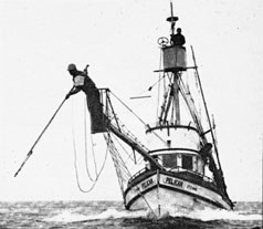 Swordfishing photo of Swordfishing
